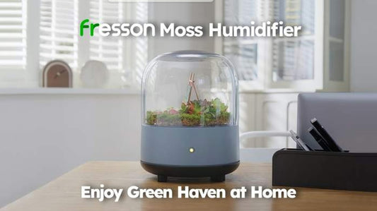 Fresson Moss Humidifier: Enjoy Green Haven at Home