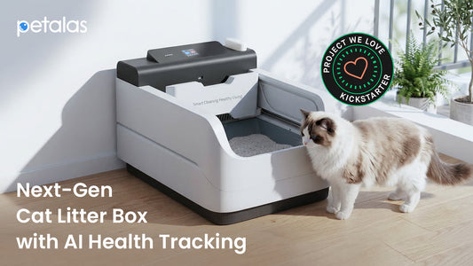 Petalas: World’s 1st AI-Powered Self-Flushing Cat Litter Box