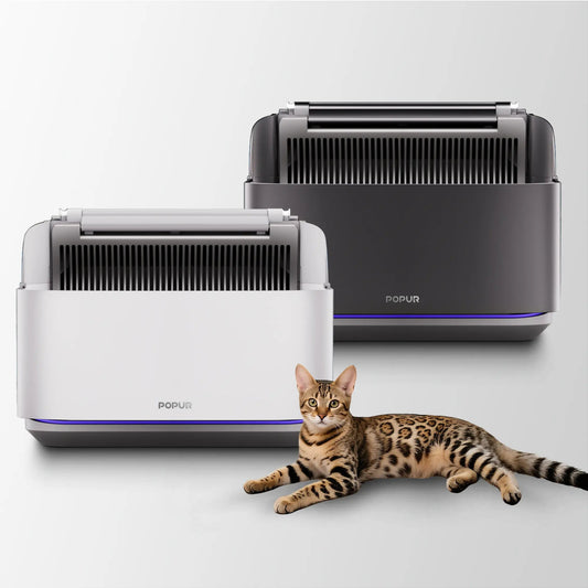 2025 Top 10 Pet Tech Picks: Best Kickstarter Smart Pet Products