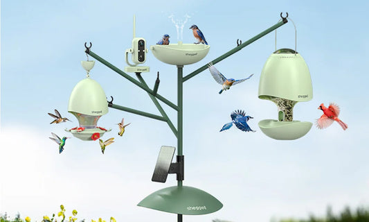 Sheggell: The All-in-One Intelligent Bird Feeder System