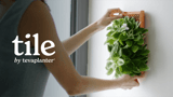The TILE by terraplanter: A Self-Watering Wall Tile That Raised $940,239 on Kickstarter