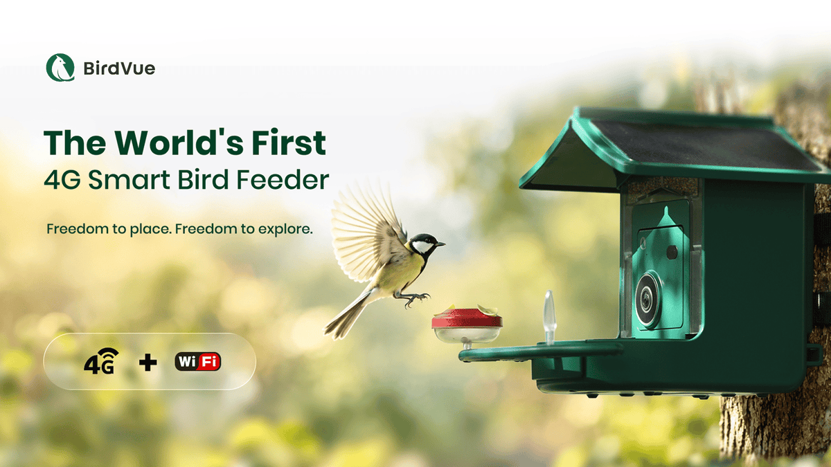 BirdVue: The World's First 4G Smart Bird Feeder