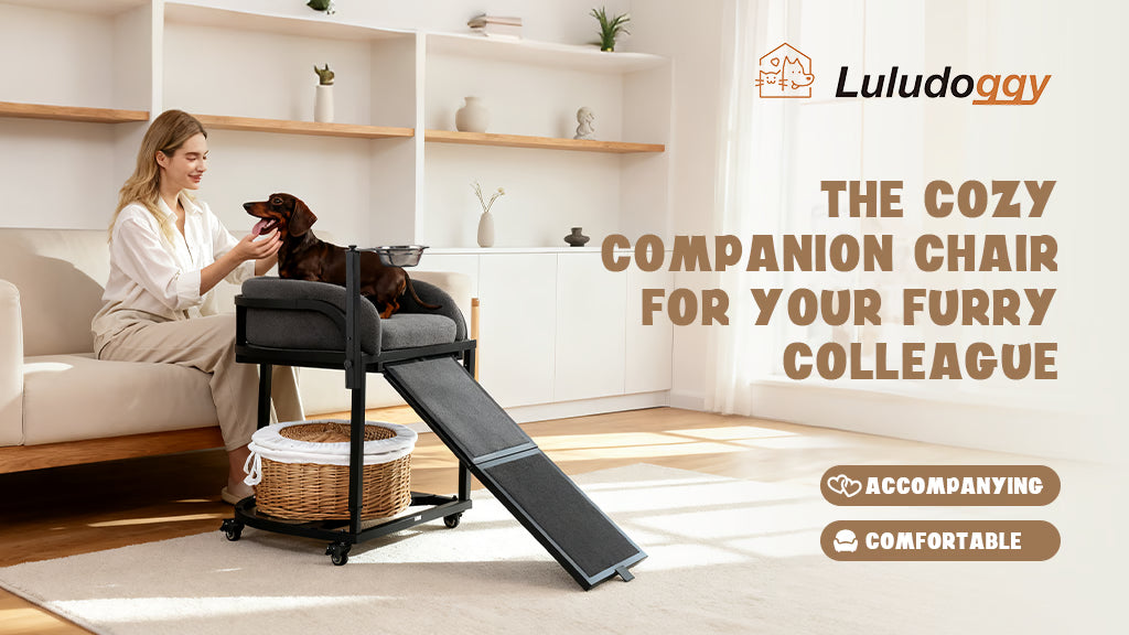 custom-slideshow-image-desktop-block_e47fjc