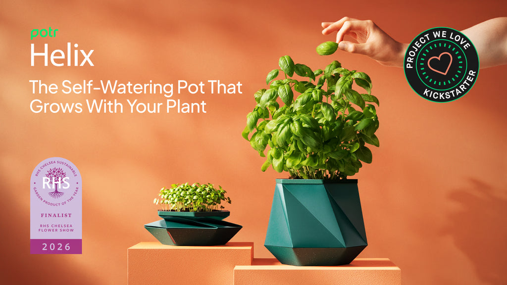 HELIX ~ The Self-Watering Pot That Grows With Your Plant