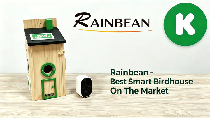 Rainbean - Best Smart Birdhouse On The Market