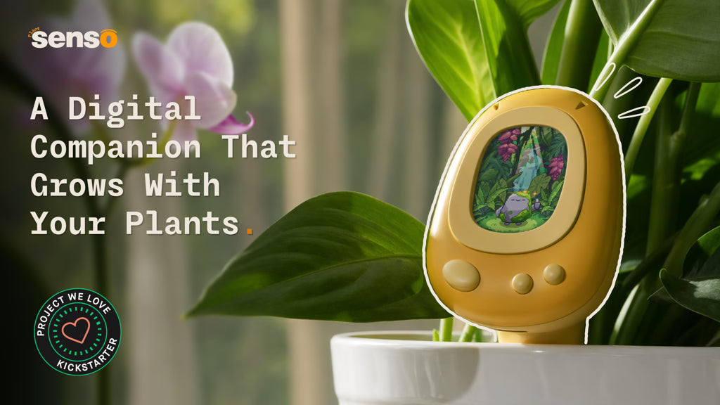 PlantSenso — A Digital Companion That Grows With Your Plants